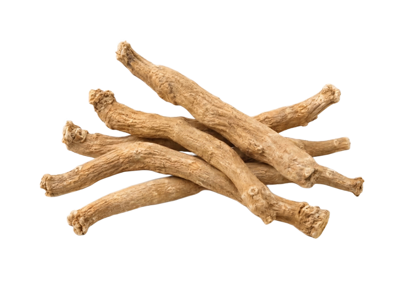 Representative ashwagandha illustration on a transparent background